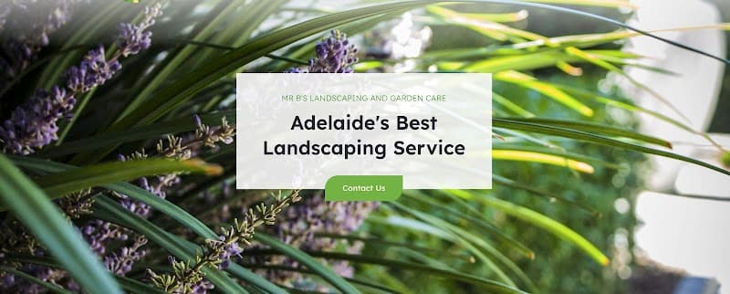 Mr B's Landscaping and Garden Care gardening work in Adelaide