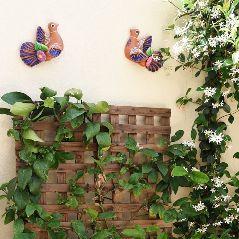 Mr B's Landscaping and Garden Care gardening work in Adelaide