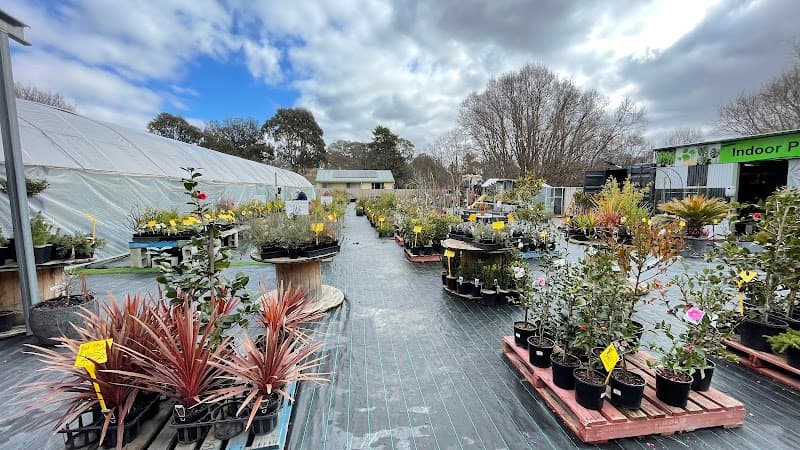 Mr Singh services(Nursery & landscape services) gardening work in Oaks Estate