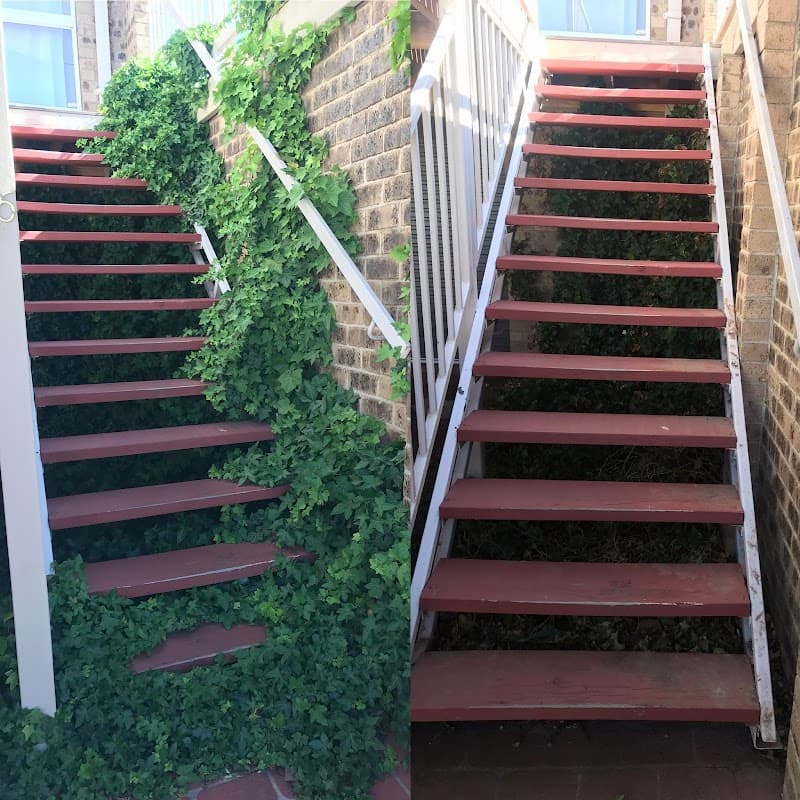 Mr Singh services(Nursery & landscape services) gardening work in Oaks Estate
