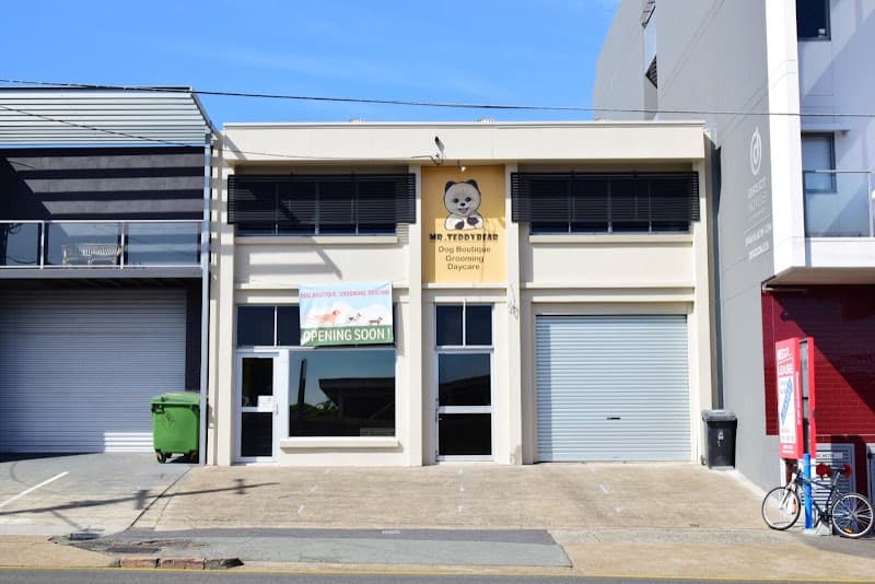 Mr Teddy Bear dog grooming work in Bowen Hills