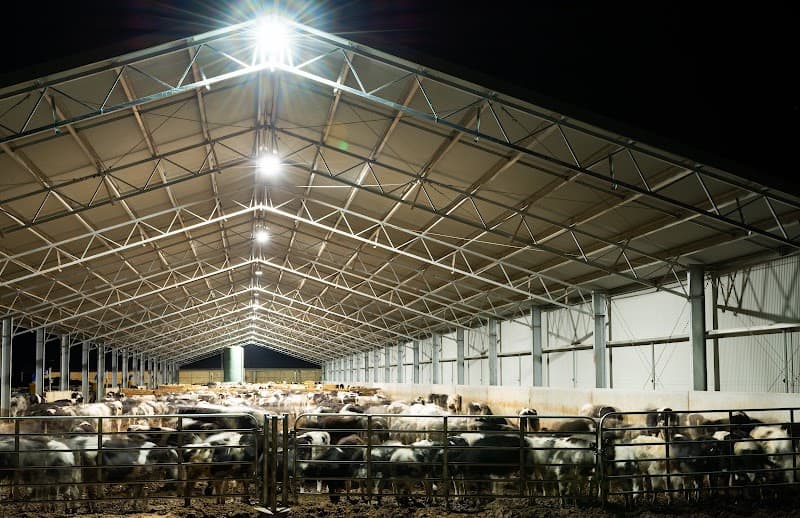 MRN Rigging & Construction carpentry work in North Albury