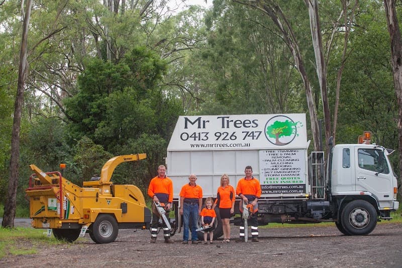 Mr.Trees tree services work in Seventeen Mile Rocks