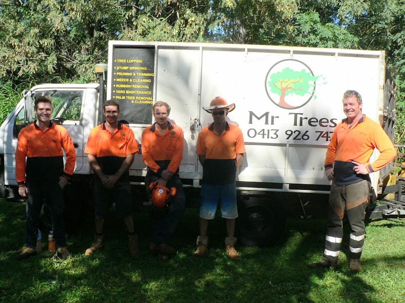Mr.Trees tree services work in Seventeen Mile Rocks