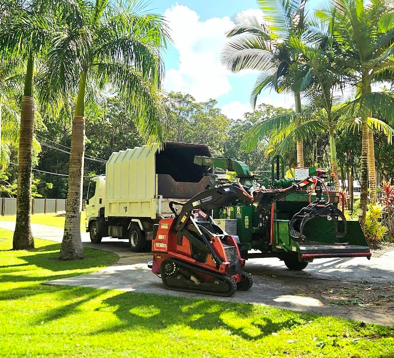 Mudjimba Tree Services tree services work in Mudjimba
