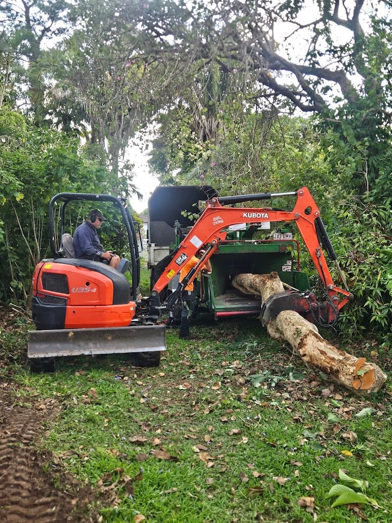 Mudjimba Tree Services tree services work in Mudjimba
