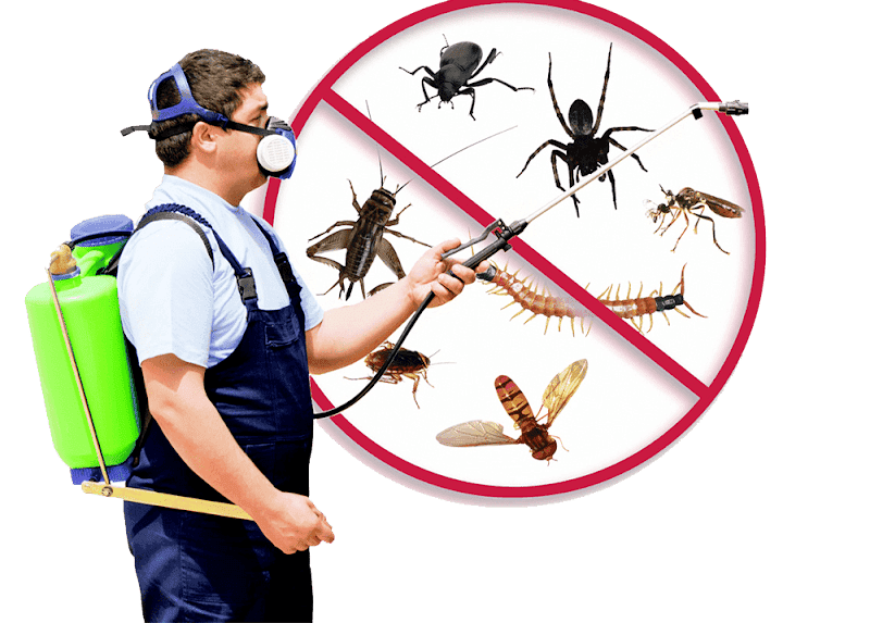 Multi Dynamic Pest Control pest control work in Crestwood