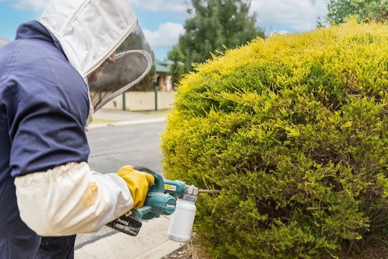 Murray Pest Control - Adelaide pest control work in Stepney