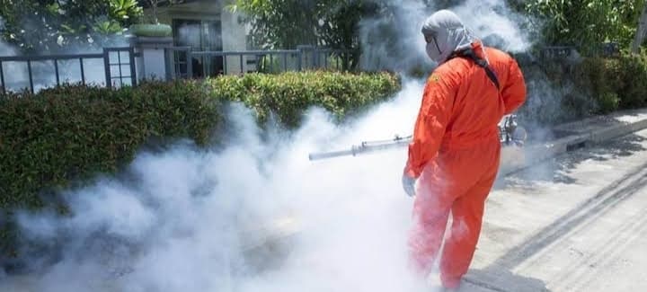 Murray Pest Control - Adelaide pest control work in Stepney
