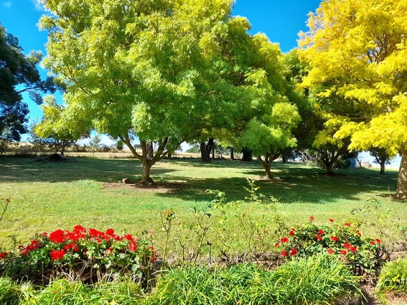 My Hardy Yardy gardening work in Frankston
