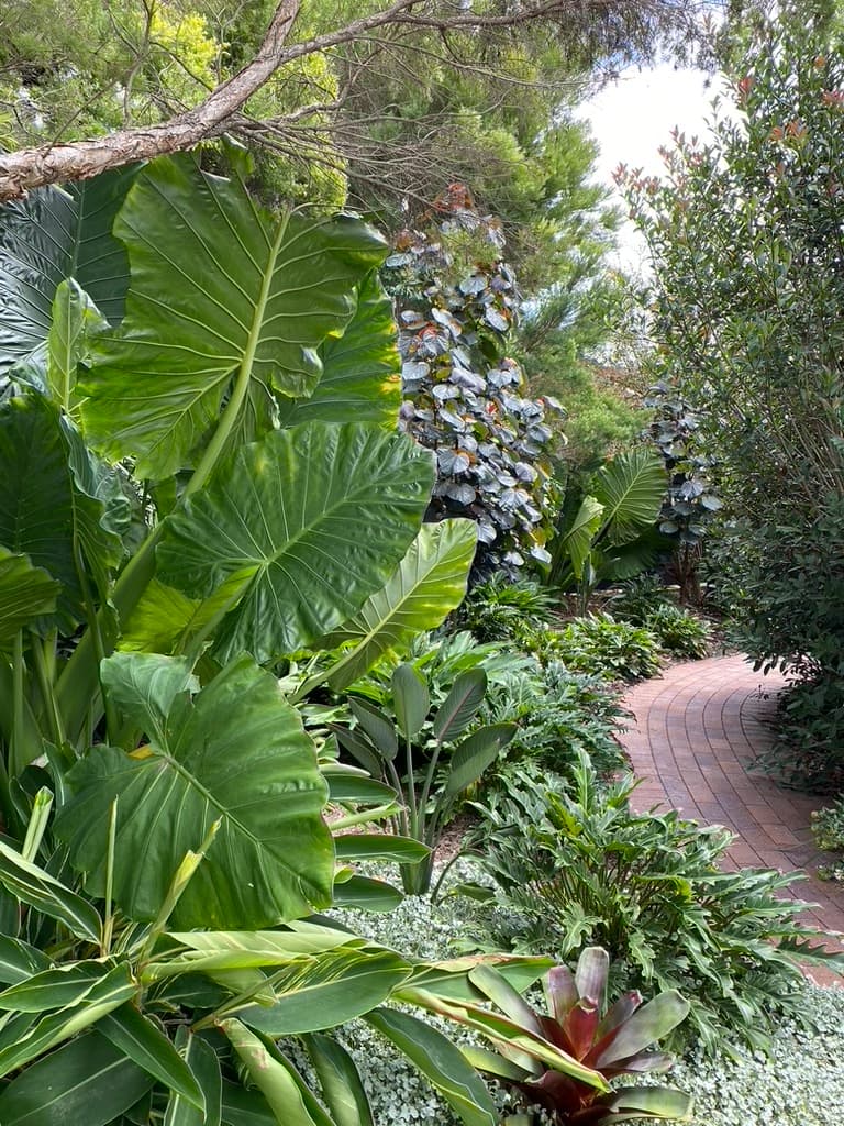 My Verandah – Landscape Architect and Garden Design Brisbane gardening work in Auchenflower