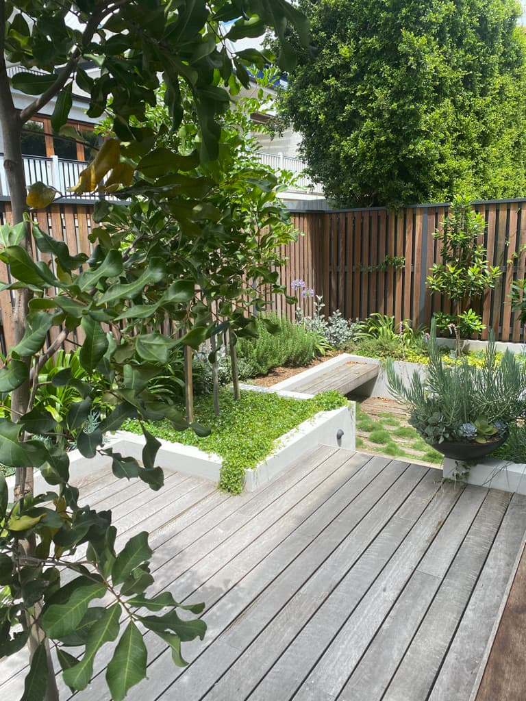 My Verandah – Landscape Architect and Garden Design Brisbane gardening work in Auchenflower