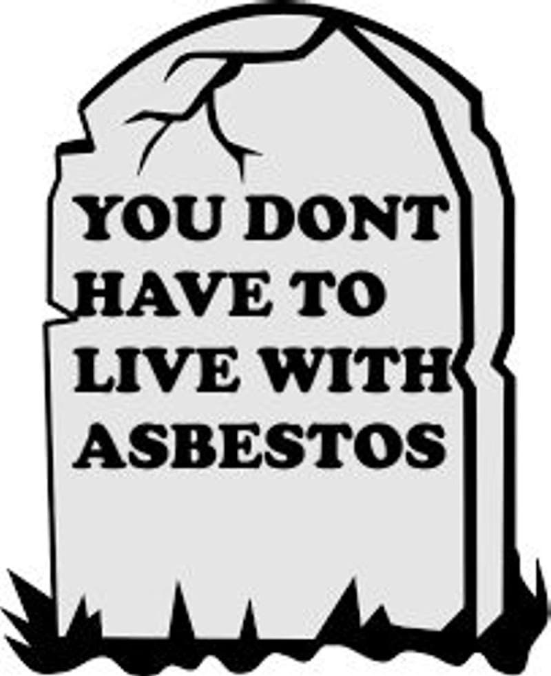 Myers Asbestos Removal asbestos removal work in Mount Clear