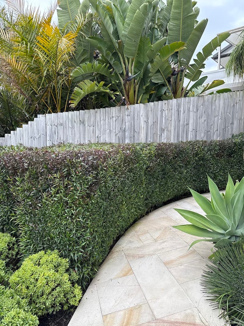 myMowing lawn care work in Manly Vale