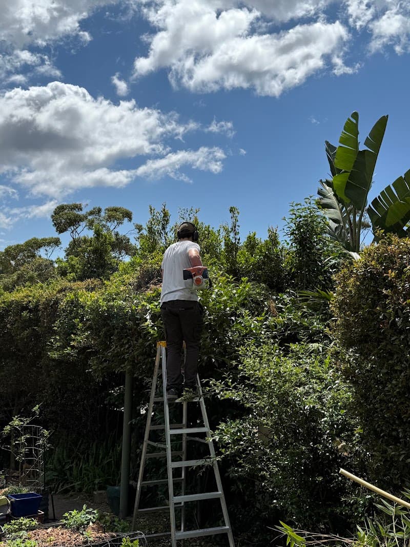 myMowing lawn care work in Manly Vale