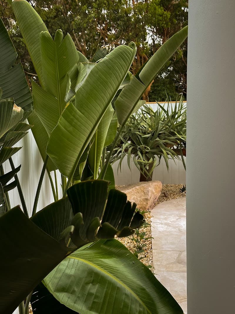 Natural Elements Landscapes landscaping work in Belmont North