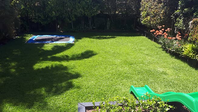 Natural Lawn Services lawn care work in Balgowlah