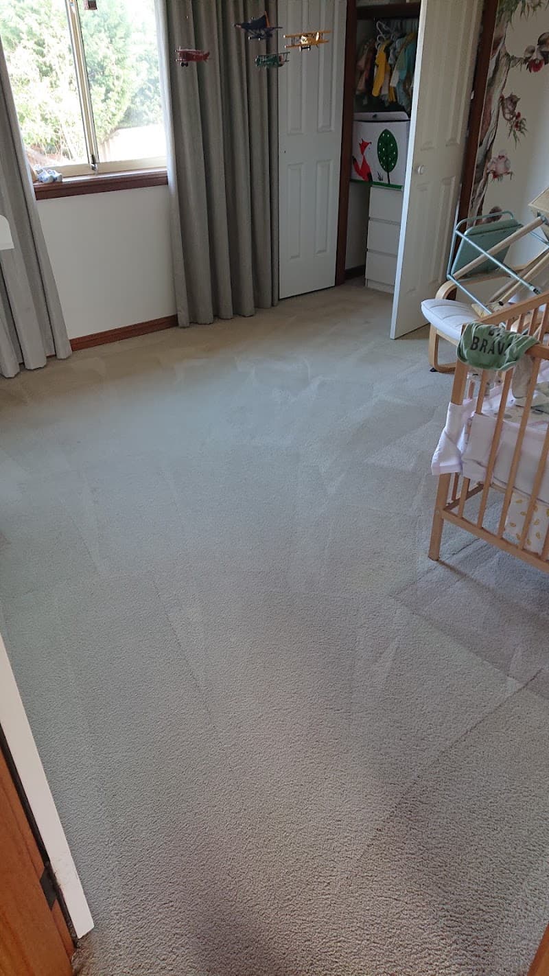 NB Carpet Cleaning carpet cleaning work in Dee Why