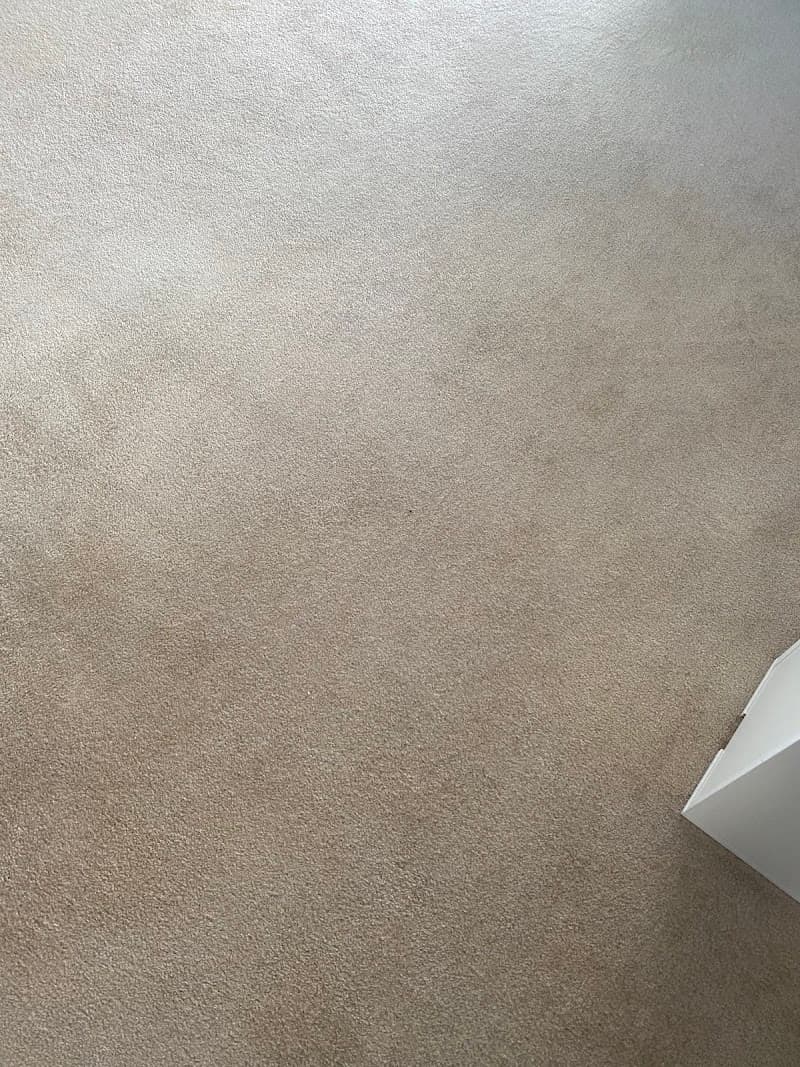 NB Carpet Cleaning carpet cleaning work in Dee Why