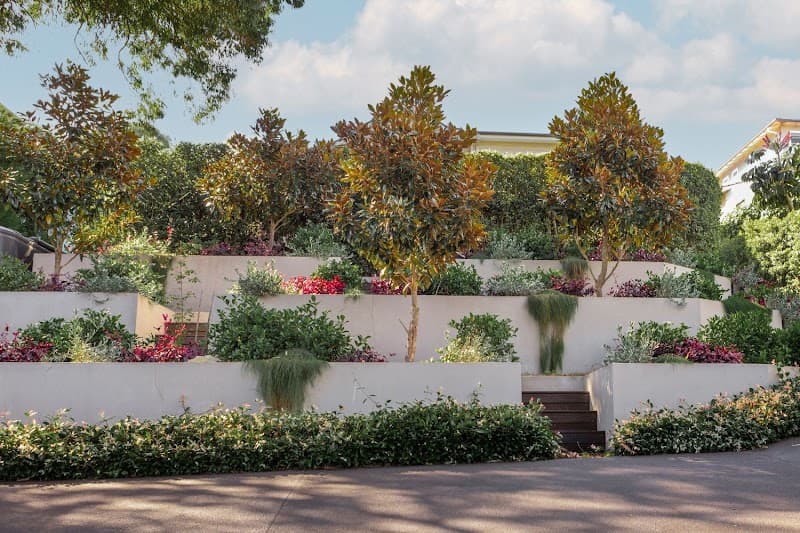 NBG Landscapes landscaping work in Pyrmont