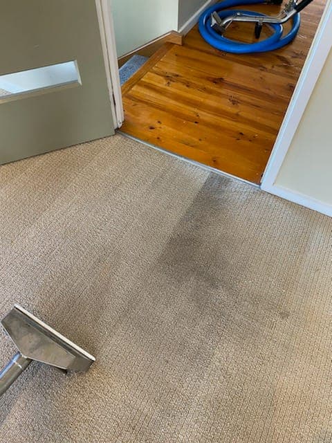 Neat & Sweet Cleaning Services | Office Cleaning | NDIS Cleaning cleaning work in Dandenong North