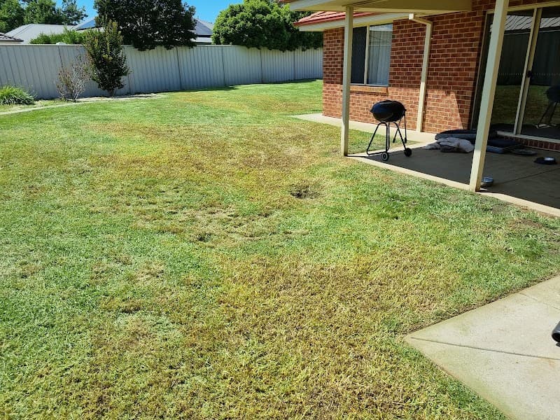 Neat n Even Mowing lawn care work in Wodonga