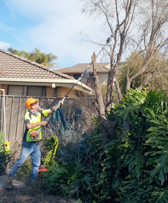 Neat n Even Mowing lawn care work in Wodonga
