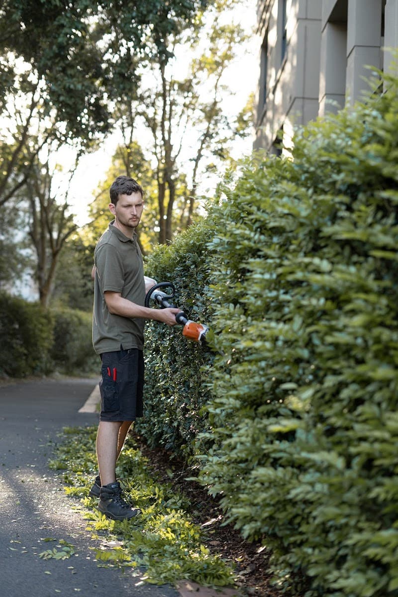 NeatWeeds Gardening lawn care work in Pyrmont