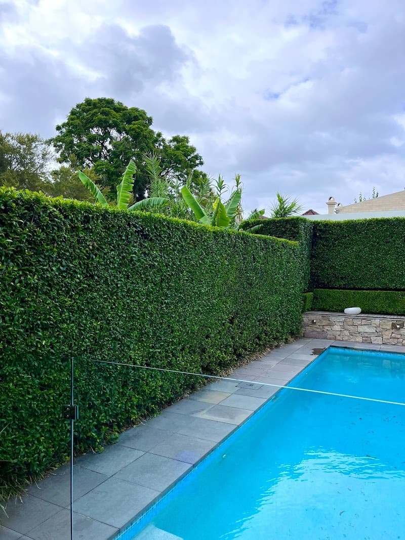 NeatWeeds Gardening lawn care work in Pyrmont