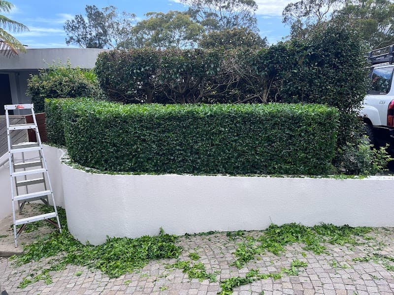 NeatWeeds Gardening lawn care work in Pyrmont
