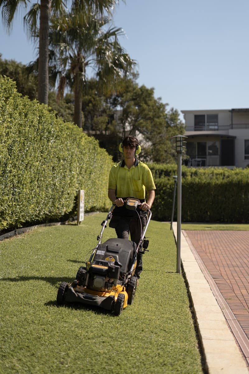 NeatWeeds Gardening lawn care work in Pyrmont