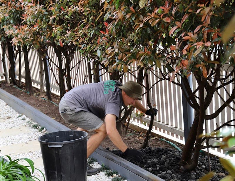NeatWeeds Gardening lawn care work in Pyrmont