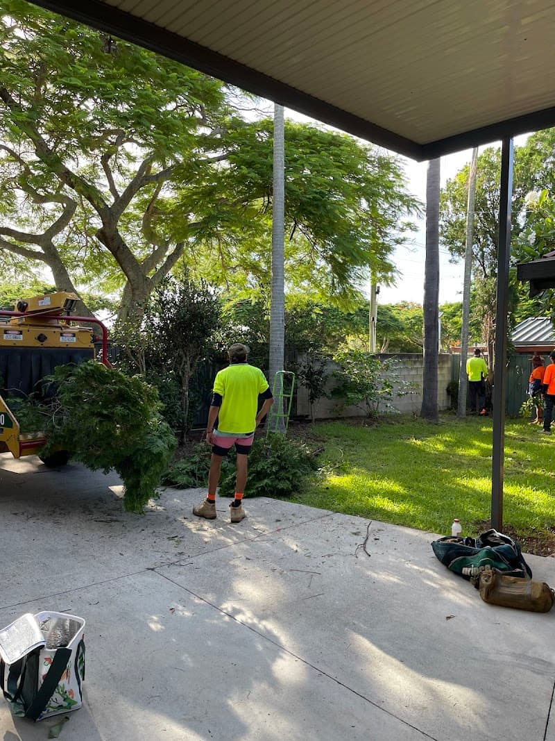 Neil's Tree Experts tree services work in Alexandra Hills
