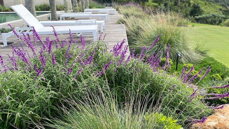 NEST Landscape Design landscaping work in Bundall