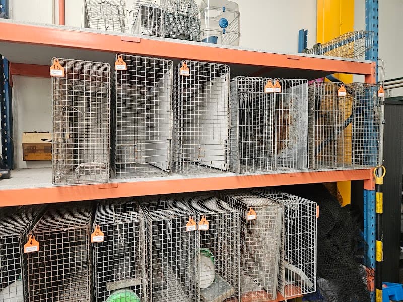 Network Pest Control pest control work in North Shore