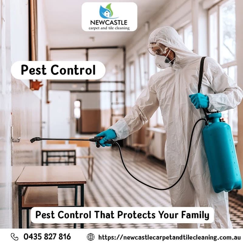 Newcastle Carpet & Tile Cleaning - Carpet Cleaning Newcastle carpet cleaning work in Waratah