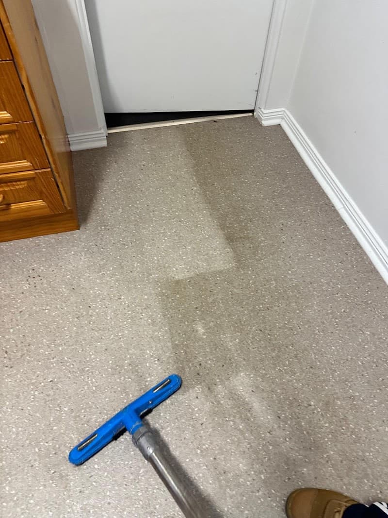 Newcastle Carpet & Tile Cleaning - Carpet Cleaning Newcastle carpet cleaning work in Waratah