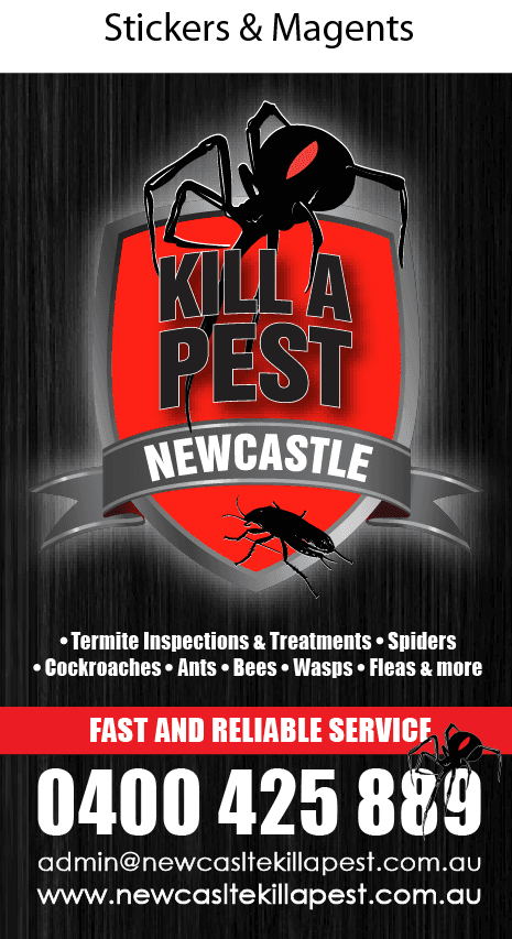 Newcastle Kill A Pest - Pest Control & Termite Inspection Reports pest control work in Cardiff