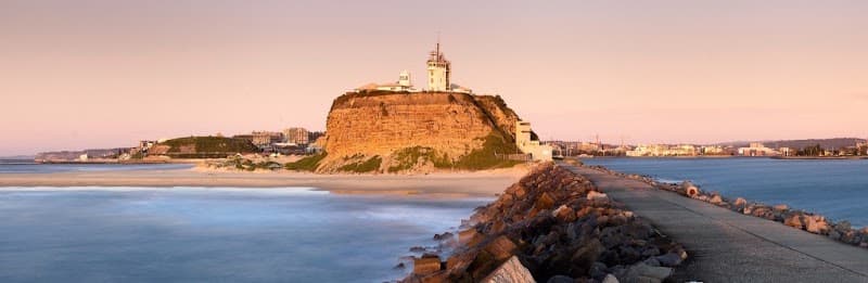 Newcastle Kill A Pest - Pest Control & Termite Inspections pest control work in New Lambton