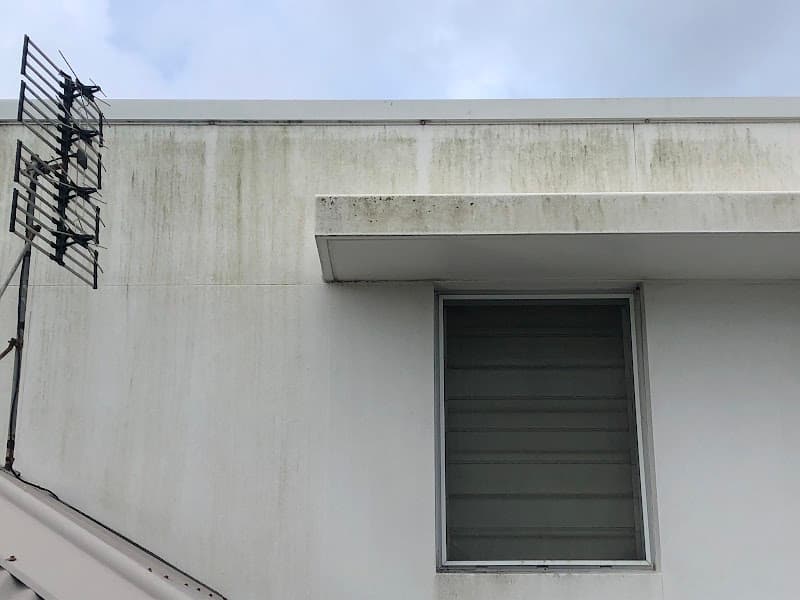 Newcastle Pro Wash gutter cleaning work in Highfields