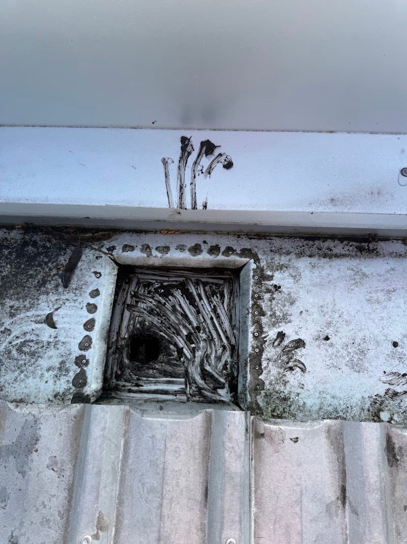 Newcastle Wash Rite gutter cleaning work in New Lambton