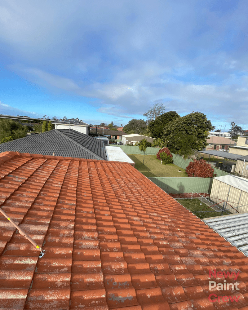 Newy Paint Crew painter work in Mayfield
