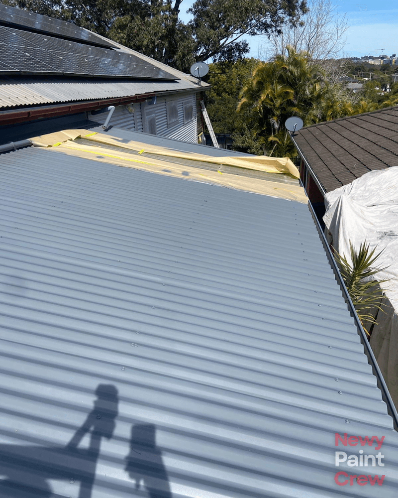Newy Paint Crew painter work in Mayfield