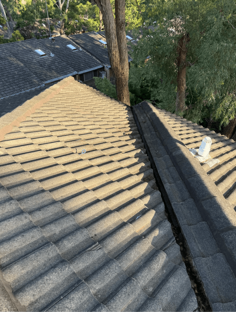 NexGen Exterior Services gutter cleaning work in Jordan Springs