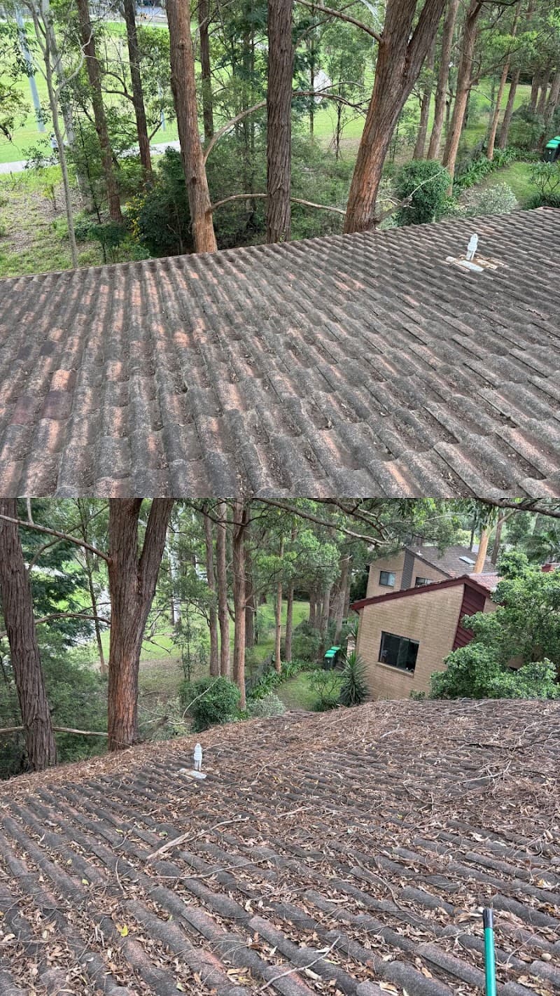 NexGen Exterior Services gutter cleaning work in Jordan Springs