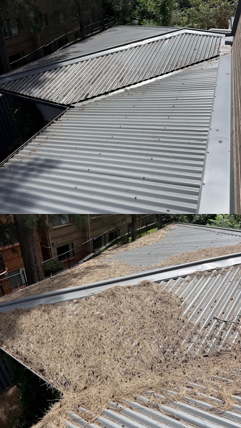 NexGen Exterior Services gutter cleaning work in Jordan Springs