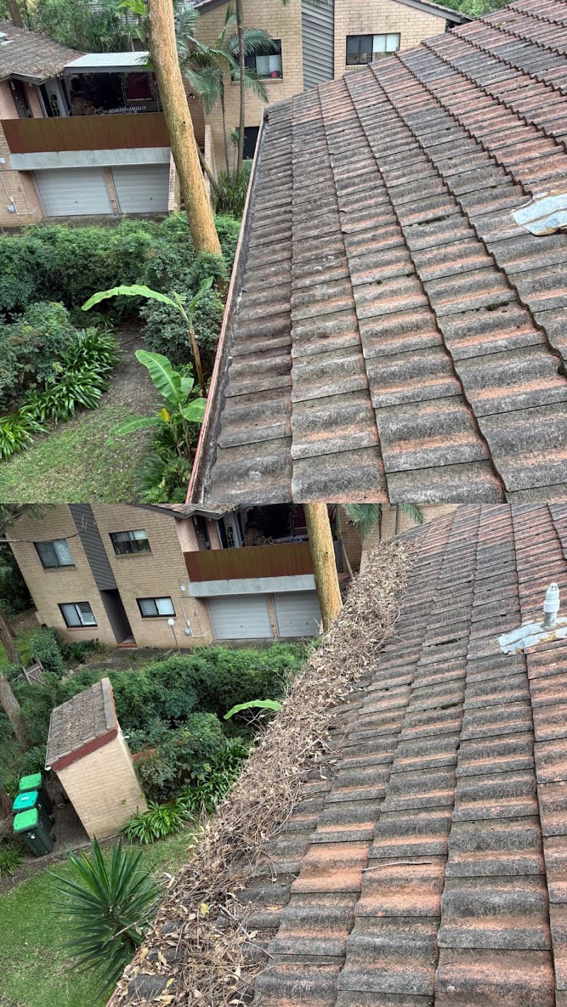 NexGen Exterior Services gutter cleaning work in Jordan Springs