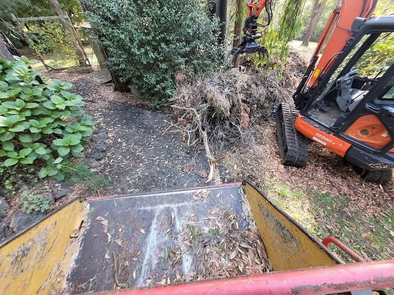 Next Step Tree Removals tree services work in Monbulk