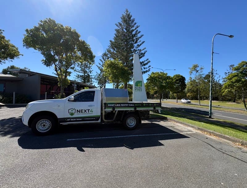Next4 Pest Management pest control work in Maudsland