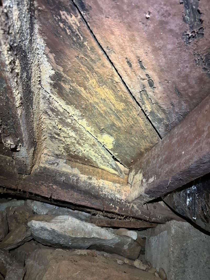 Next4 Pest Management pest control work in Maudsland